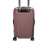 PEAK DESIGN VALISE ROLLER PRO