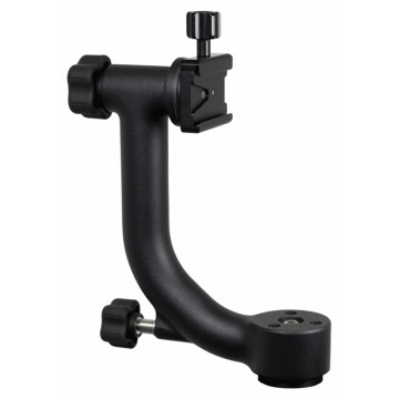 WIMBERLEY TETE LATERALE...