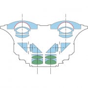 CANON OBJECTIF RF 5,2MM F/2.8 L DUAL FISH EYE