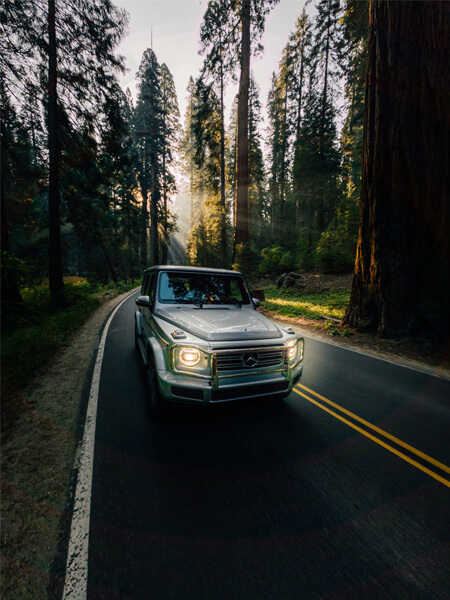 Voiture dans la forêt