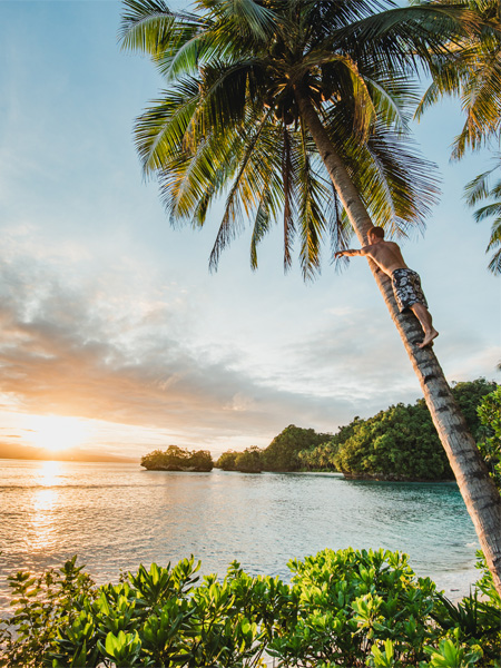 homme sur un palmier