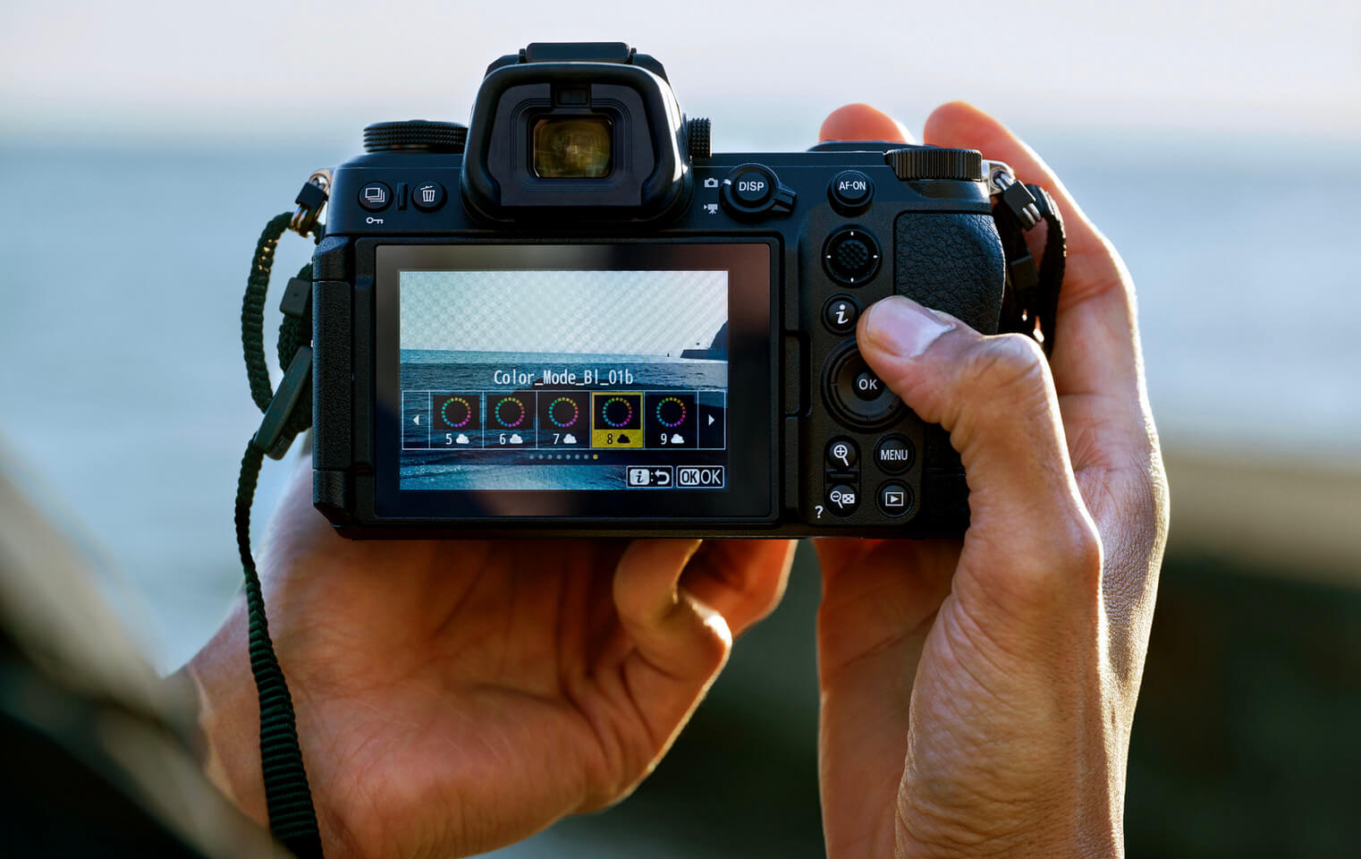 Presets Nikon sur écran